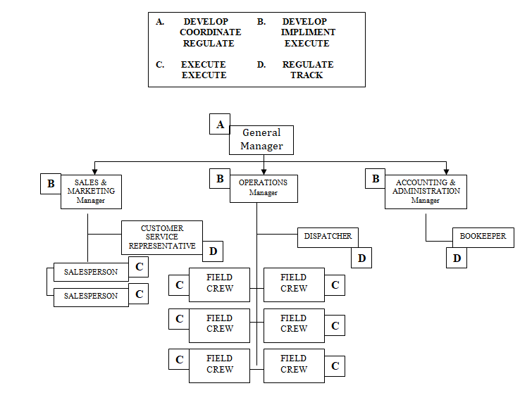 org chart rules